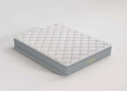 NEUTRAL BAY ® Could Touch- Soft -NBCT 3013