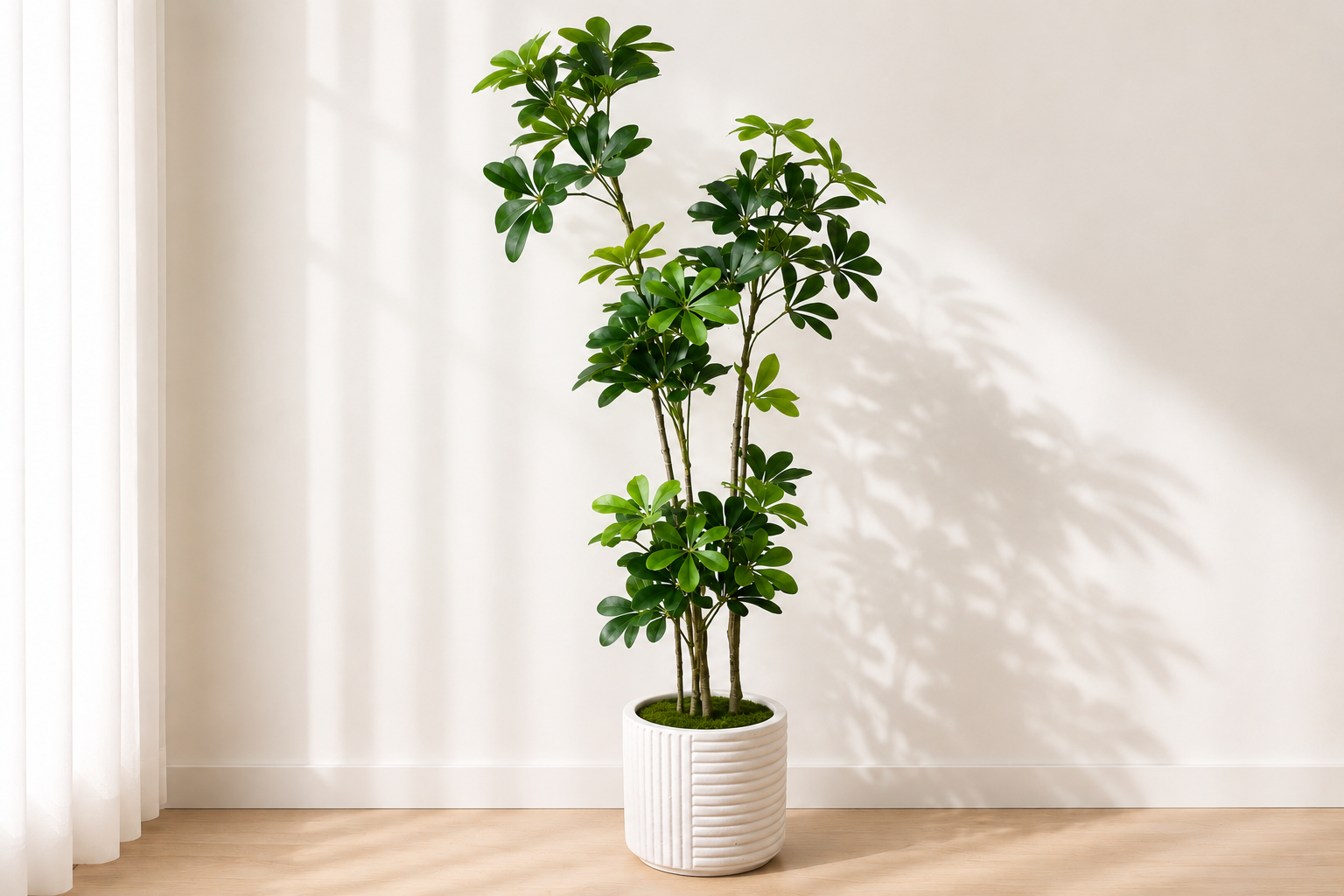 Artificial Schefflera Plant