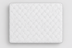 NEUTRAL BAY ® Could Touch- Soft -NBCT 3013